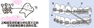 ҽԺݽ